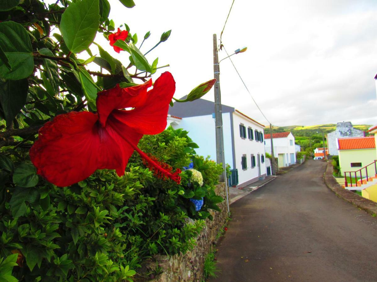 Casa L&M Daire Lajes das Flores Dış mekan fotoğraf