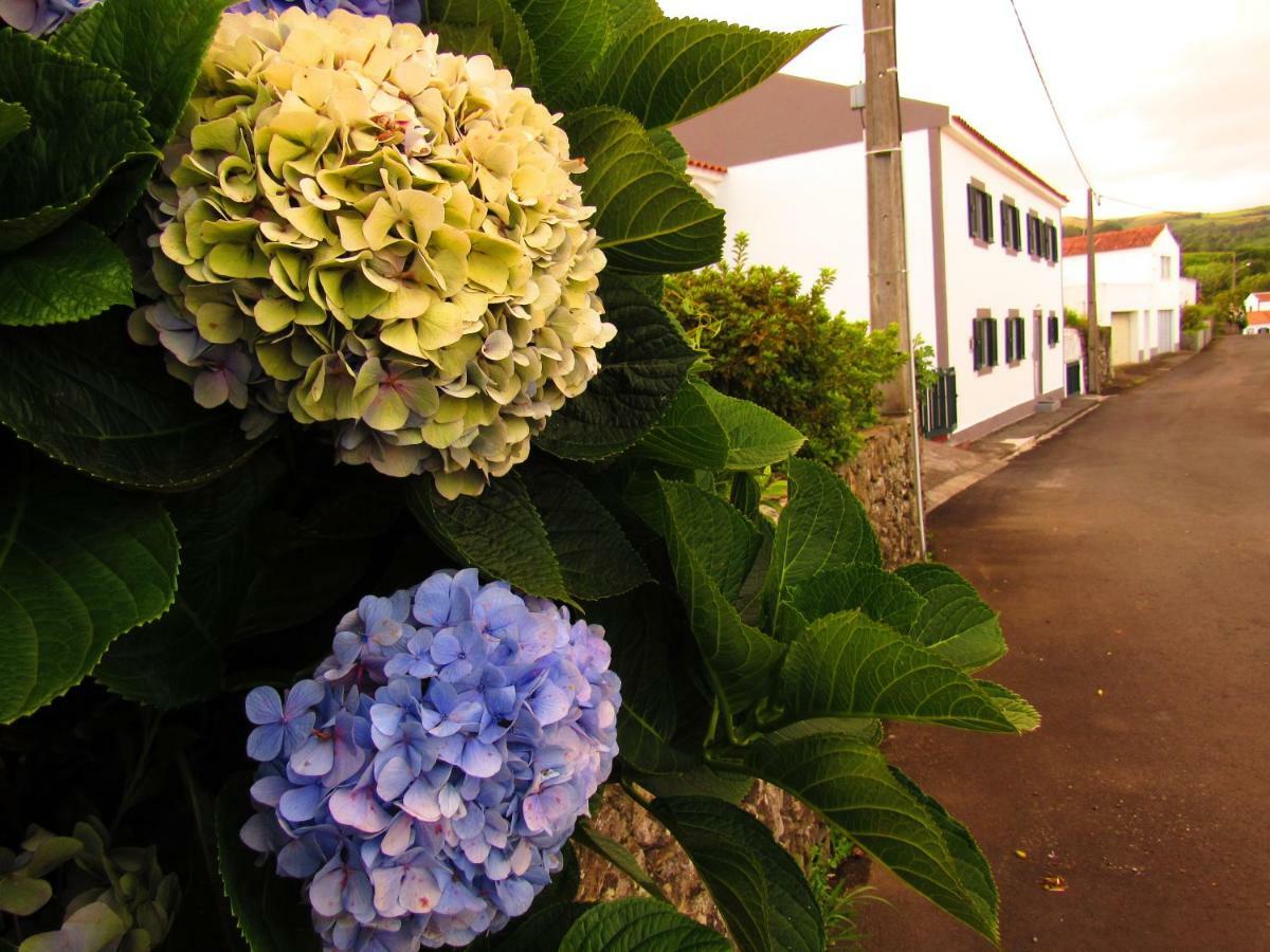 Casa L&M Daire Lajes das Flores Dış mekan fotoğraf