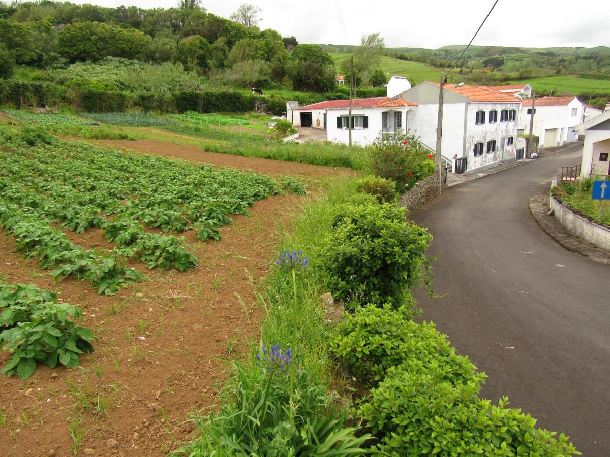 Casa L&M Daire Lajes das Flores Dış mekan fotoğraf